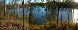 Looking upstream towards Popes Reach from Pullen Reach